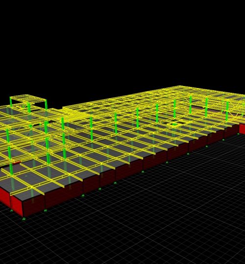 BIM1